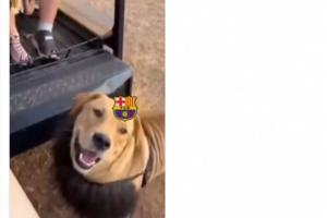 98933