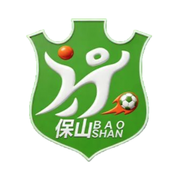 保山隊(duì)